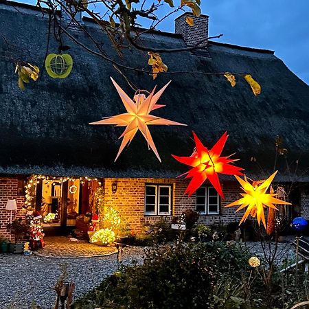 Ferienwohnung Mit Luxusbad, Terrasse Ostseenaehe Gremersdorf Exteriör bild