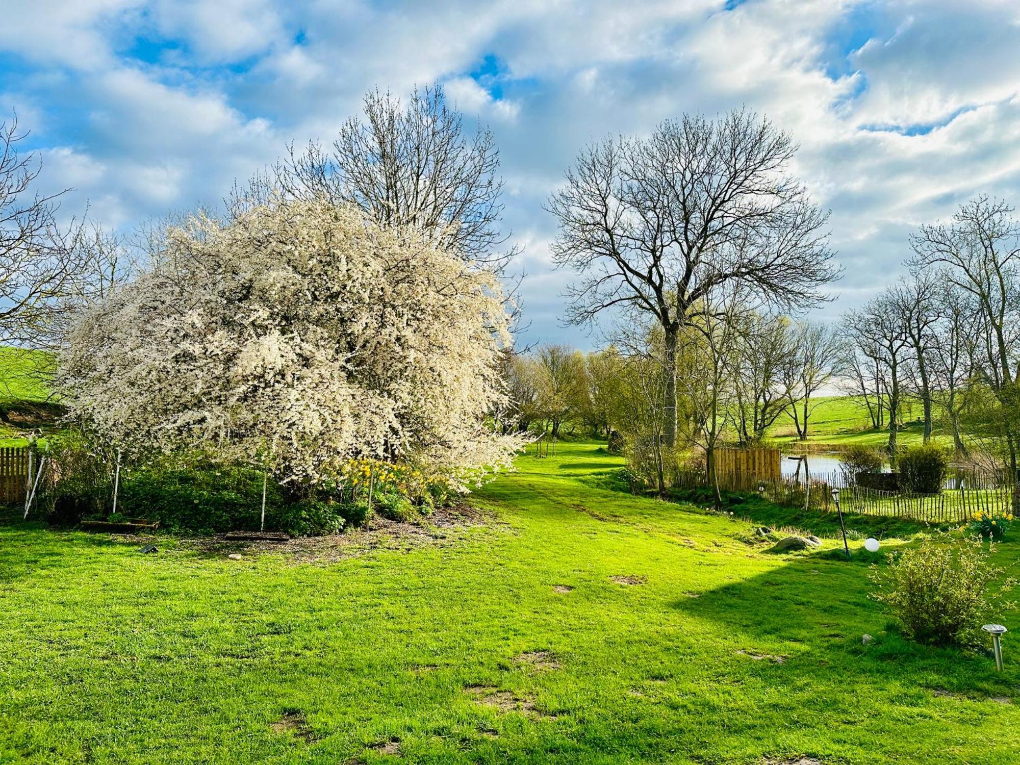 Ferienwohnung Mit Luxusbad, Terrasse Ostseenaehe Gremersdorf Exteriör bild